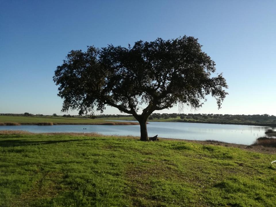 Monte Da Figueira Villa Amareleja Kültér fotó