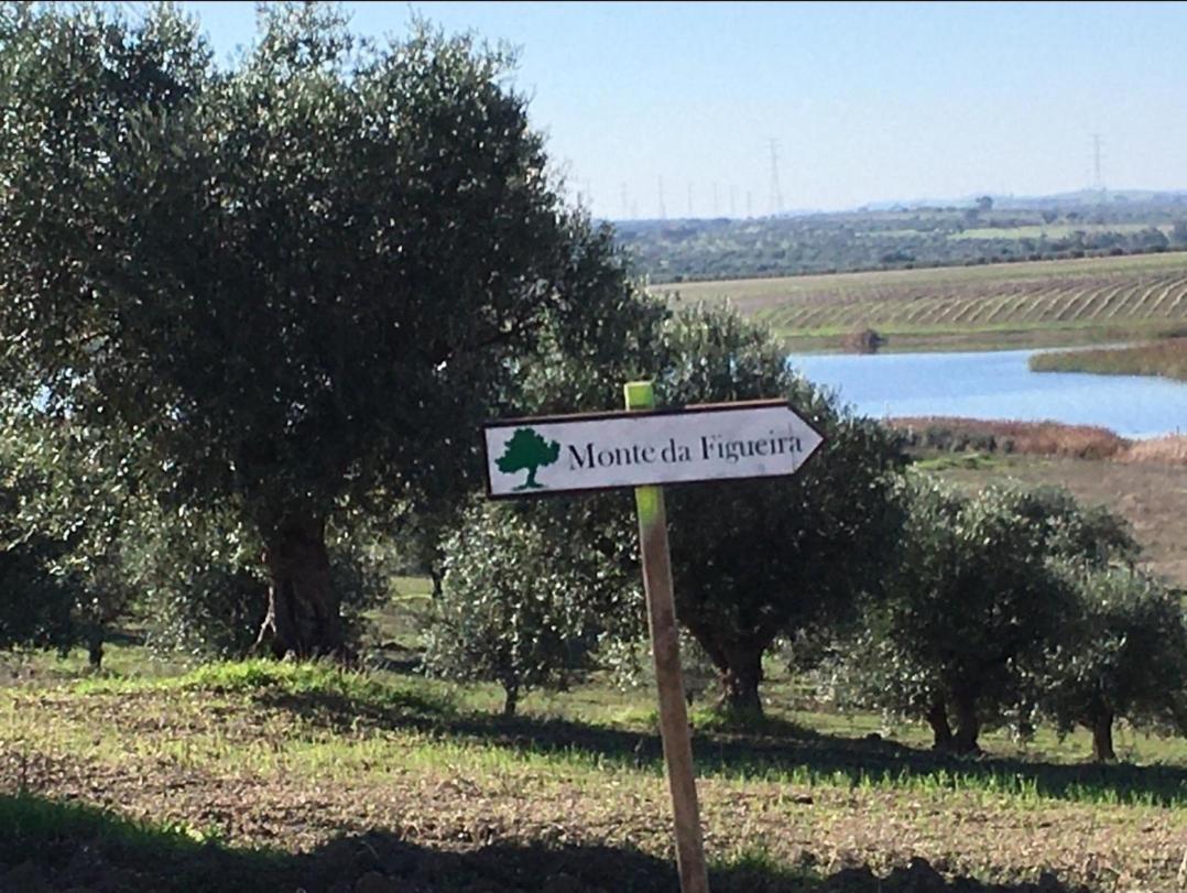 Monte Da Figueira Villa Amareleja Kültér fotó