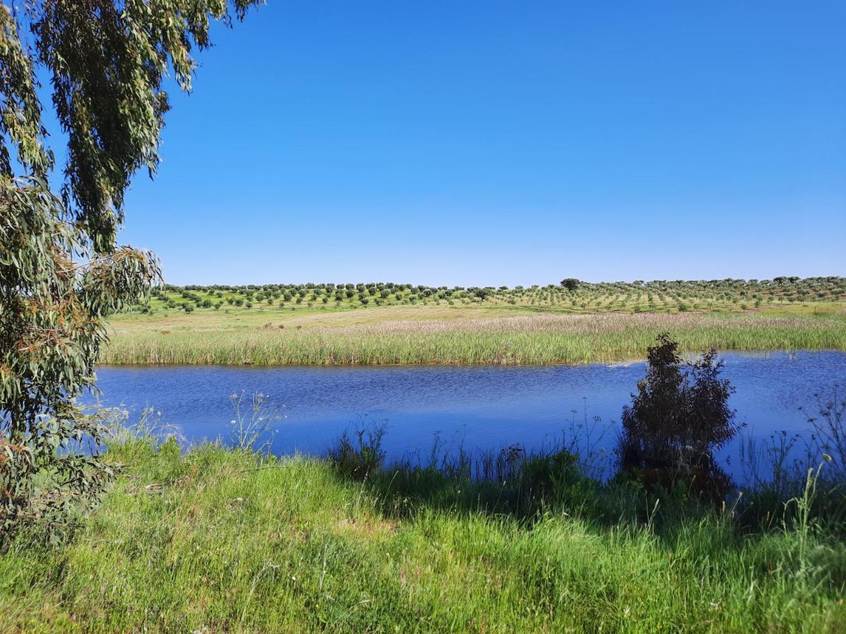 Monte Da Figueira Villa Amareleja Kültér fotó